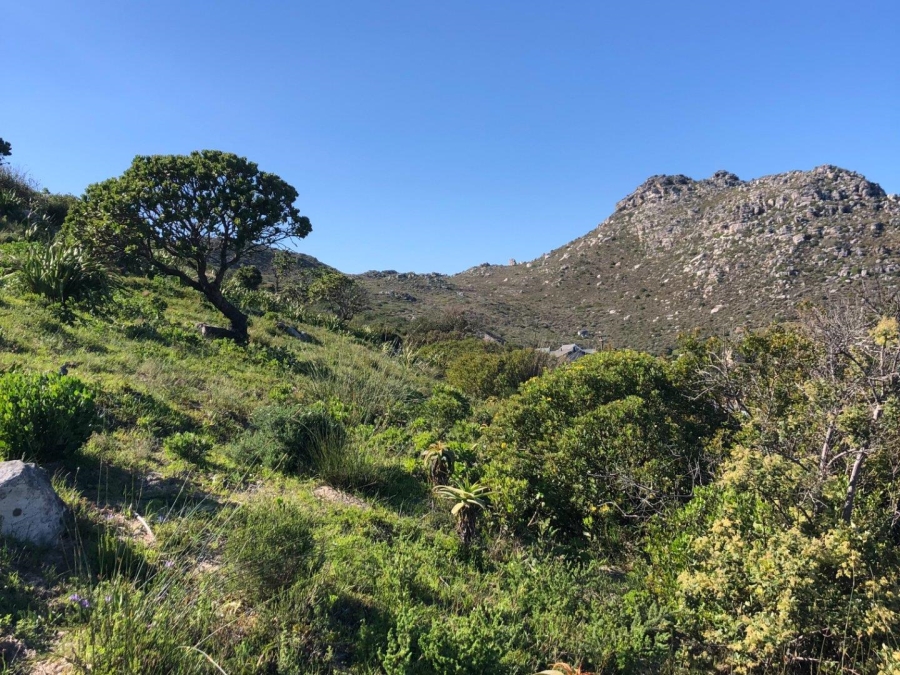 0 Bedroom Property for Sale in Clovelly Western Cape